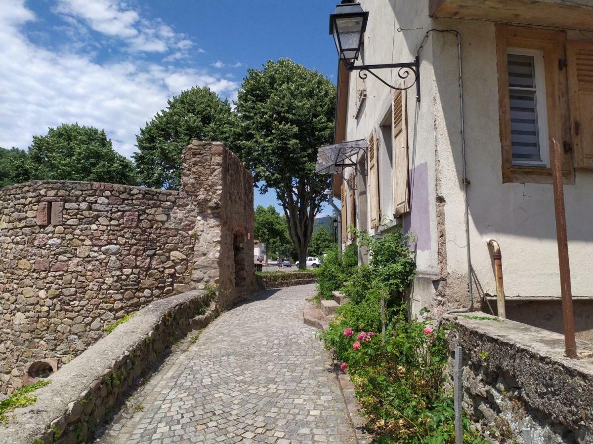 La grande terrine Lejlighed Kaysersberg-Vignoble Eksteriør billede