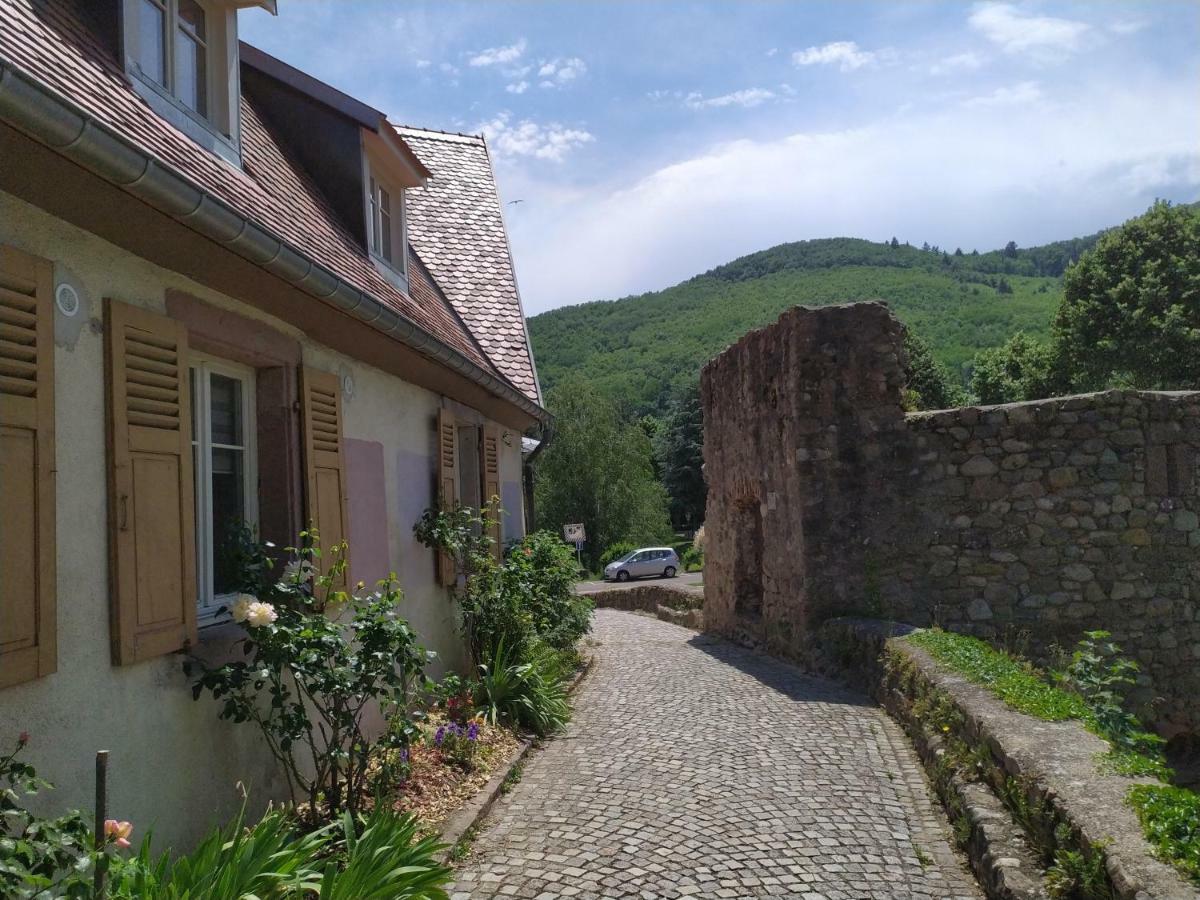 La grande terrine Lejlighed Kaysersberg-Vignoble Eksteriør billede