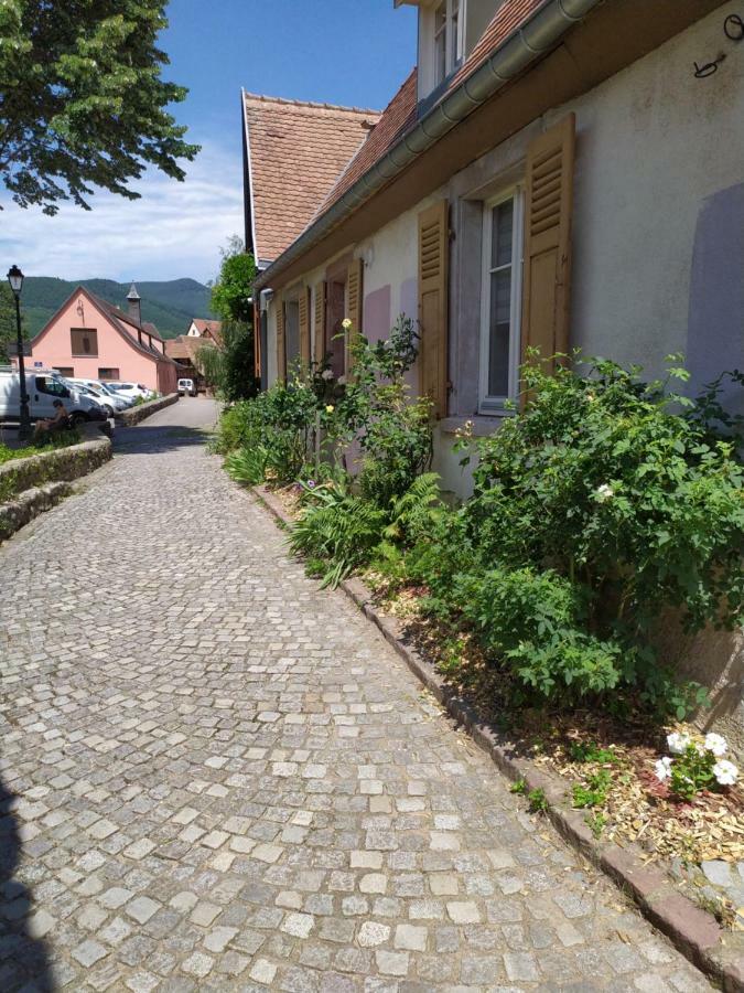 La grande terrine Lejlighed Kaysersberg-Vignoble Eksteriør billede